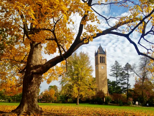 Iowa State University