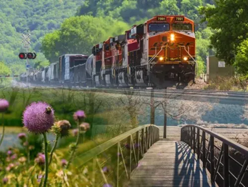 train